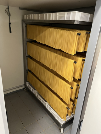 Foto von der Zimmermann Nudelproduktion